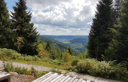 Ferienwohnung Tonbachtal - Photo 12