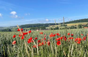 Luises Ferienglück - Foto 33