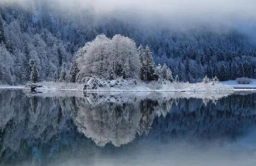 Ferienwohnung Green Deer - Foto 20