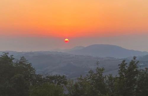 La Collina Zocca - Foto 29