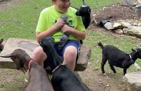 Barn Vibes + Petting Zoo + Hot Tub! - Foto 25