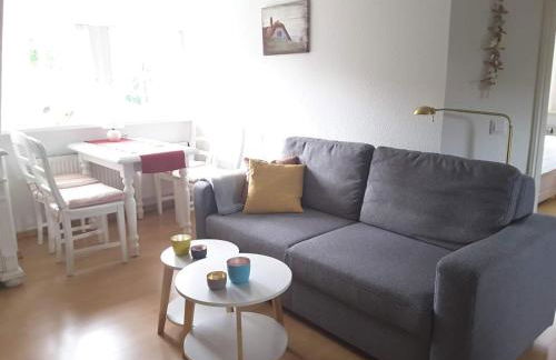 Seepferdchen - Foto 7