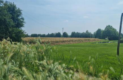 In campagna vicino al mare - Foto 12