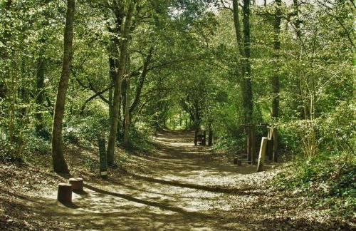 Villa Angelina La Baule - Photo 8