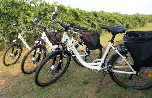 Le Stanze di Bacco - Photo 58