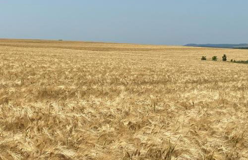 Le Chic Vintage - Photo 16