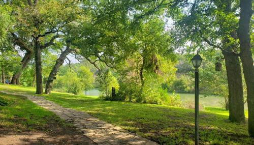 The Studio at Creekside Camp & Cabins - Foto 3, Garden, Garden view