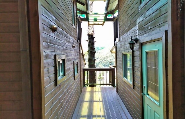 Castel on the hill pension - Photo 17