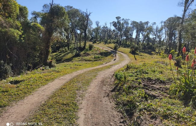 Recanto Vista Alegre - Rancho Queimado - Photo 34