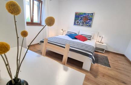 Kuća Roža - Dolinci - Foto 40