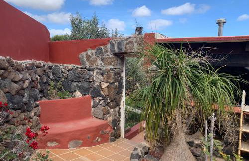 Centro Ave Fénix - Photo 27