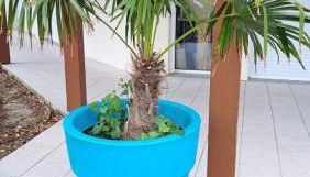 L'airial de Laure - Foto 4