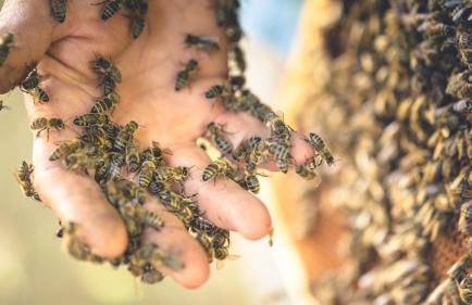 Brenta Rosso - Charme Apartments - Foto 30