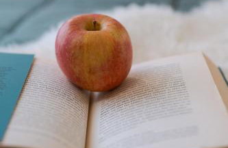 VORAS 180° VIEW - Photo 25