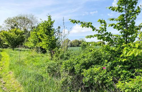 Holiday Home Eschengrund by Interhome - Foto 18