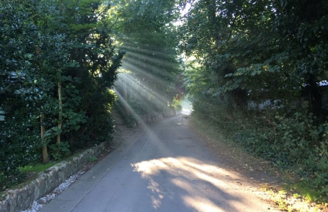 Ferienwohnung Tante Lise - Foto 21