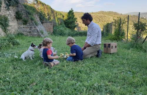 Fattoria di Maiano - Foto 68