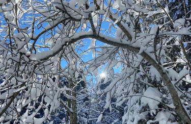 Appartement cosy au pied des pistes - Foto 22