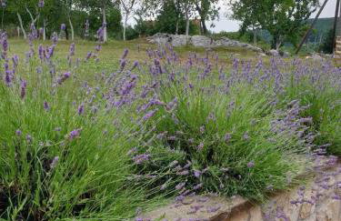 House Roza - Foto 16