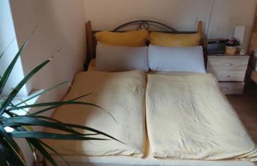 Gasthaus Piesau - Thüringer Wald - Rennsteig - Foto 13