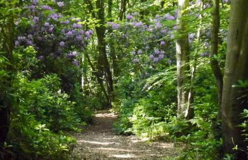 Studio du Mesnil - Photo 14
