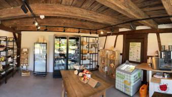 FERIENHOF KATZENMAIER, Bauernhof- und Familienurlaub am BODENSEE, großzügig wohnen, MESSENAH und teils BARRIEREFREI, Spielangebot für drinnen und draußen, Parkplatz am Haus, gute ÖPNV-Anbindung - Foto 2