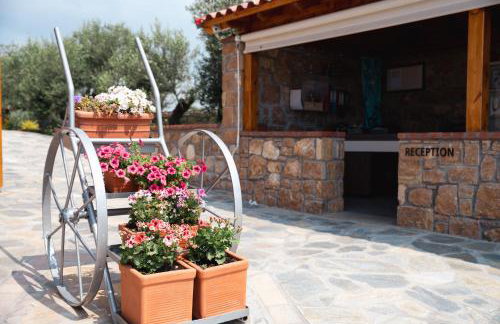 Akrolithos Luxury Suites & Spa - Foto 23