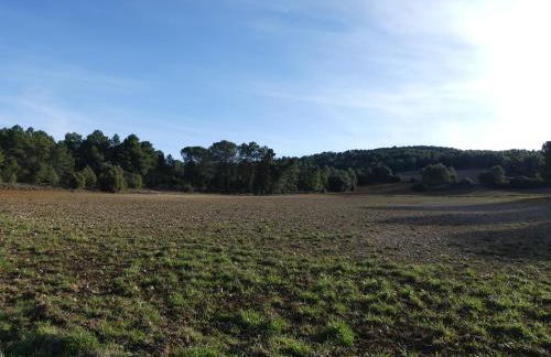 El Rodenal Casa Rural - Foto 35