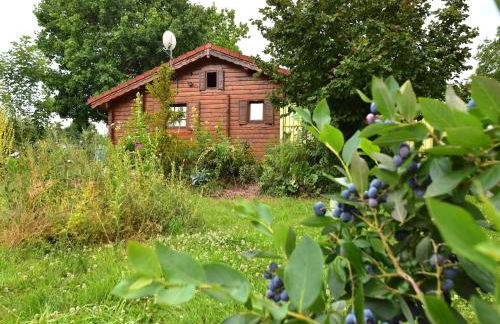 Charmantes Ferienhaus mit eigenem Garten - Photo 31
