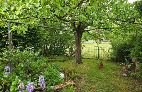 Ferienwohnung Kloster Tempzin 19412 - Foto 19