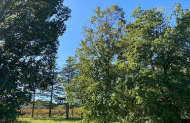 Appartamento in casale Umbro vicino Orvieto - Allerona - Foto 2