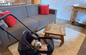 Chalés Bella - Foto 56