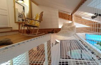 Le Maréchal Duplex - Appartement avec Jacuzzi - CAEN hyper Centre - Photo 5