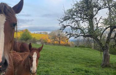 Ancienne grange typique nichée au cœur du Cantal - Photo 35