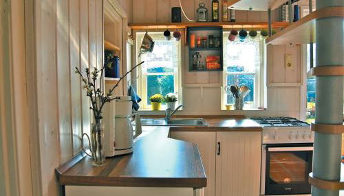 Rittersporn - Foto 5