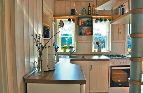 Rittersporn - Foto 5