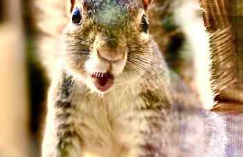 Simply the best ! 4 min walk to Beach, Pubs, Restaurants, Shops, Htd Pool, Hottub, Games rm, 1 acre Garden, BBQ's Coast to Coast cycle path, Beautiful, Bassets acre, Only six 1-3 bedroom SUPERB apartments, Free Parking and WIFI - Foto 24