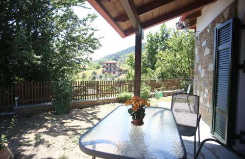 Boletus MushROOM - Foto 21