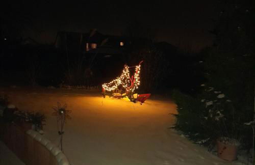 FeWo Sonnenblume mit sauna - Photo 33