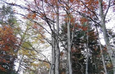 Appartamento Belvedere - Foto 29