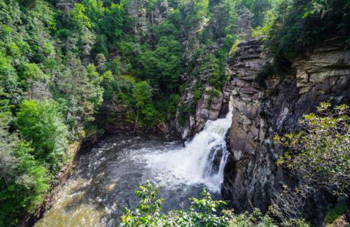 The Toasted Marshmallow 2 Kings Fire Pit Hiking - Foto 39