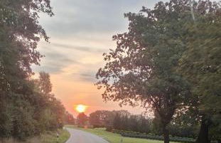 Ferienhaus Im Wäldchen in See Nähe - Photo 46