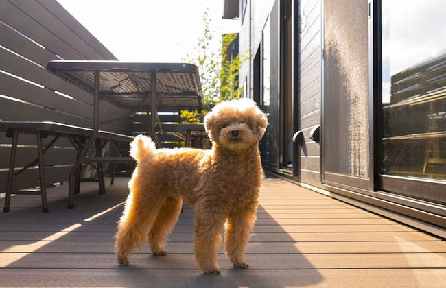 Rakuten STAY VILLA Yatsugatake - Foto 58