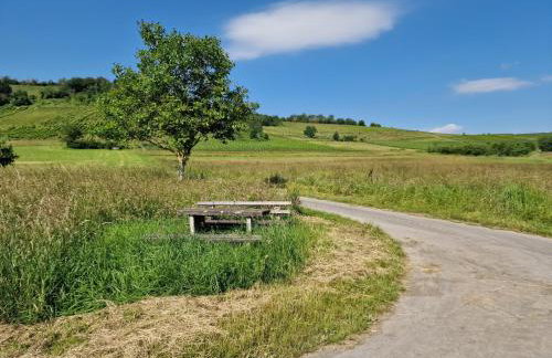 das rote Ferienhaus Terlinden - Foto 42