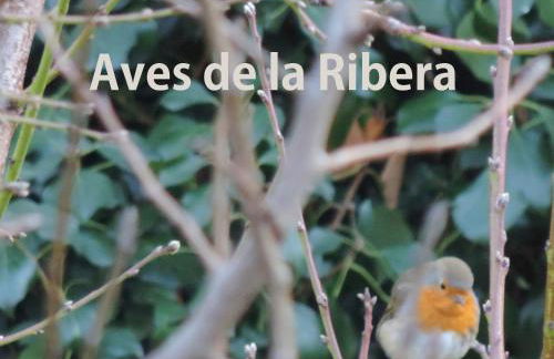 El Retiro de Isabel - Foto 47