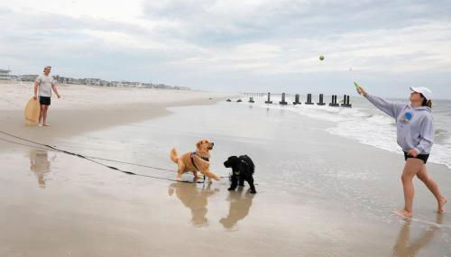 Three Bedroom House - Cape May short walk to the Bay - Foto 5