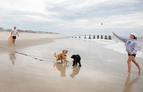 Three Bedroom House - Cape May short walk to the Bay - Foto 5