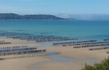 Comme un poisson dans l'eau - Photo 19