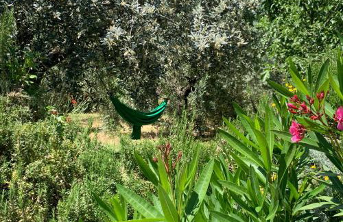 Casa Aldo nel cuore della Toscana - Foto 40