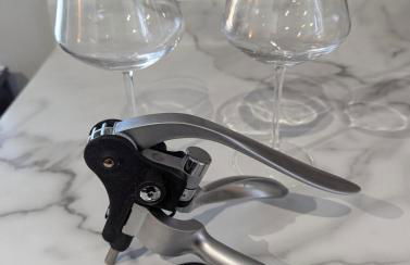 Terran's Dupont Retreat - Foto 42